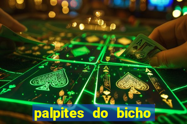 palpites do bicho no celular